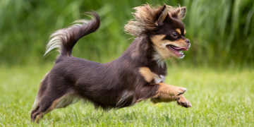 Stanice z Krásného údolí